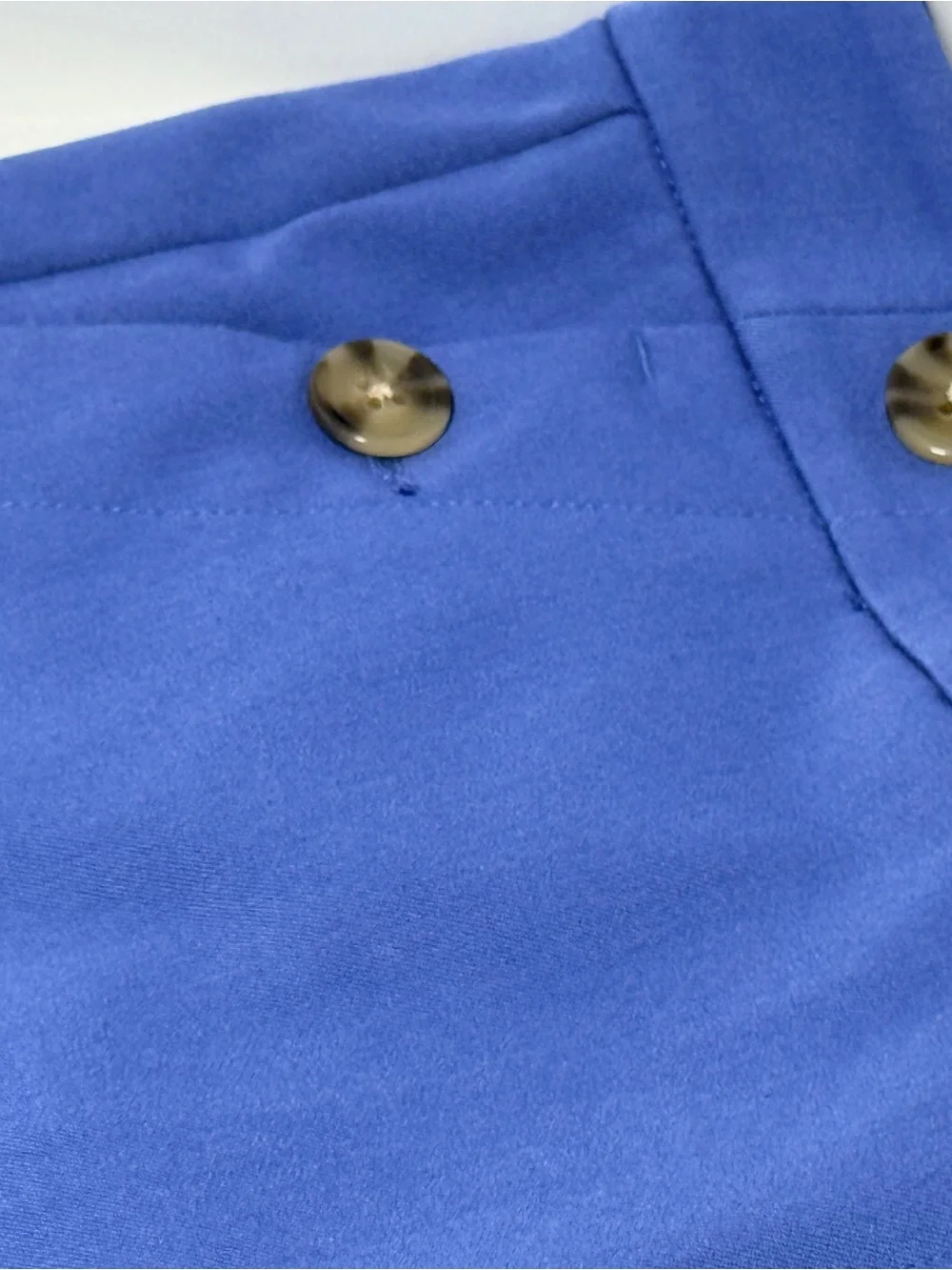 LOFT Royal Blue Women's Pants